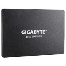 240GB Gigabyte (GP-GSTFS31240GNTD)
