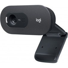 WEB-камера Logitech Webcam C505 (960-001364)