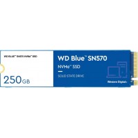 SSD WD Blue SN570 1 ТБ (WDS100T3B0C)