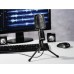 Микрофон Hama MIC-USB Allround (00139906)