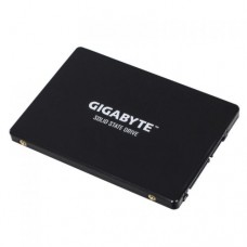 256GB Gigabyte Client SSD GP-GSTFS31256GTND