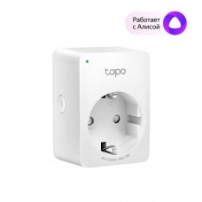 TP-LINK Tapo p100